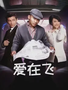 爱在飞电视剧海报