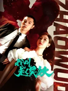 我叫赵吴狄电视剧海报