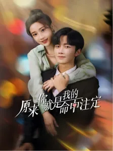 原来你就是我的命中注定电视剧海报