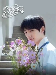 管你来自哪颗星电视剧海报