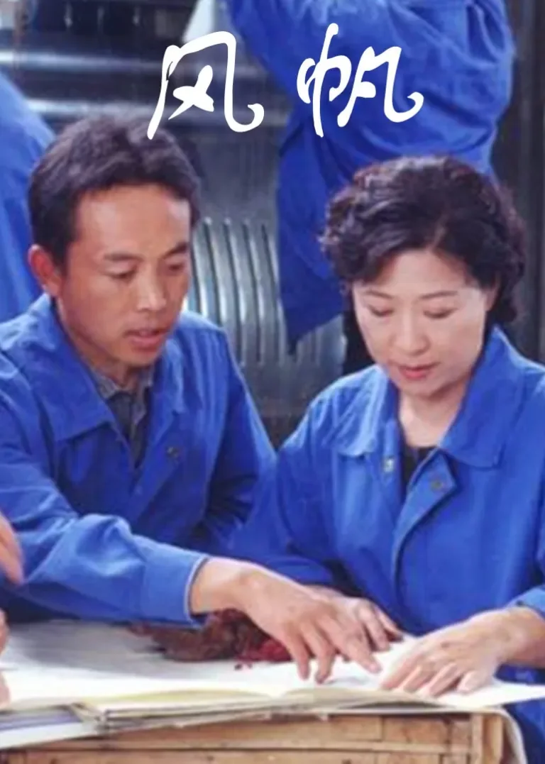 风帆电视剧海报