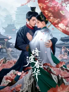 暗渡春华电视剧海报
