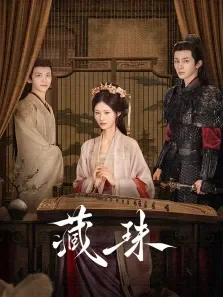藏珠电视剧海报