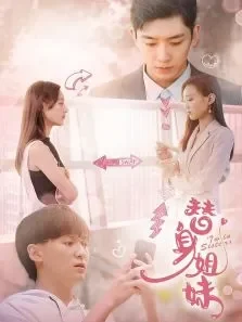 替身姐妹电视剧海报