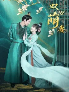 双世萌妻电视剧海报