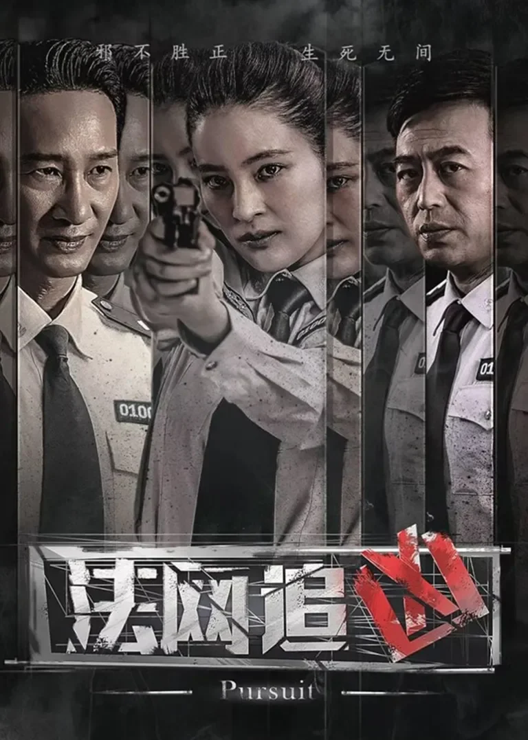 法网追凶电视剧海报