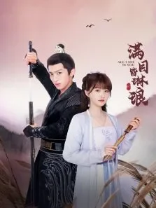 满目皆琳琅电视剧海报