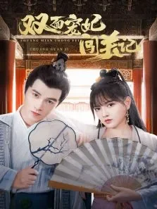 双面宠妃闯关记电视剧海报