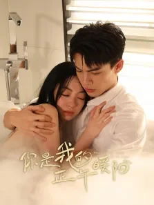 你是我的正午暖阳电视剧海报
