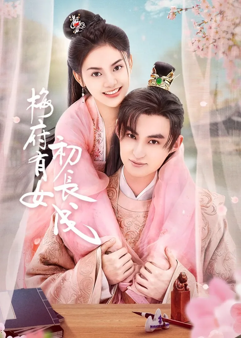 梅府有女初长成电视剧海报