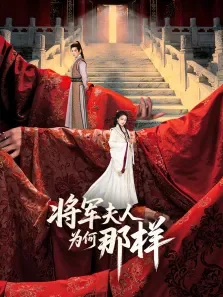 将军夫人为何那样电视剧海报