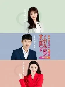 我的极品老婆第二季电视剧海报