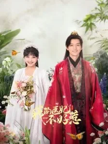 我的医妃不好惹3电视剧海报