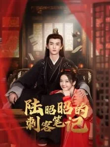 陆昭昭的刺客笔记电视剧海报