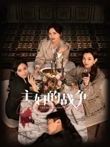 主妇的战争电视剧海报