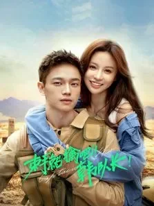 束手就擒吧！韩队长！电视剧海报