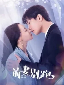 前妻别跑电视剧海报