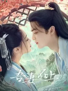 吾妻在上电视剧海报