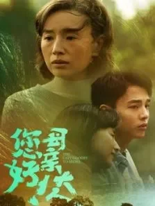 您好母亲大人电视剧海报