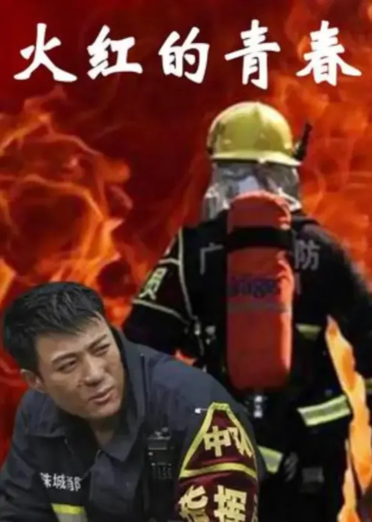 火红的青春电视剧海报