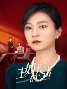 主妇的反击电视剧海报