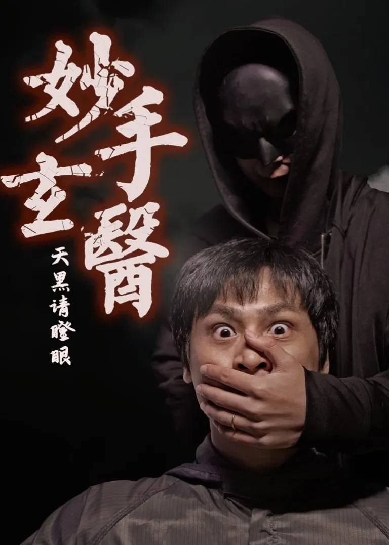 妙手玄医电视剧海报