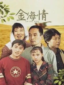 金海情电视剧海报