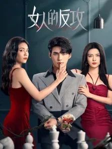 女人的反攻电视剧海报