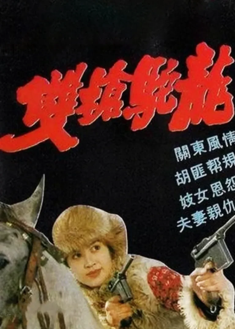 双枪驼龙电视剧海报
