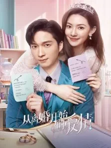 从离婚开始的爱情电视剧海报