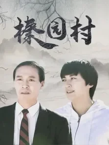 榛园村电视剧海报