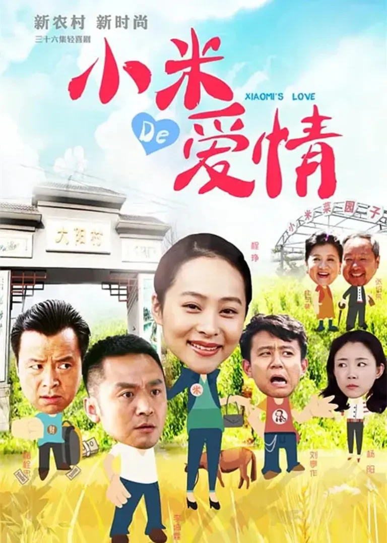 小米的爱情电视剧海报
