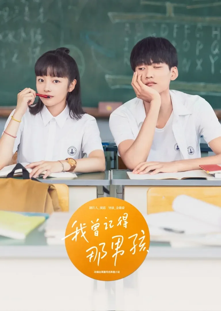 我曾记得那男孩电视剧海报