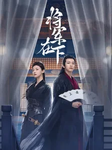 将军在下电视剧海报