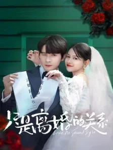 只是离婚的关系电视剧海报