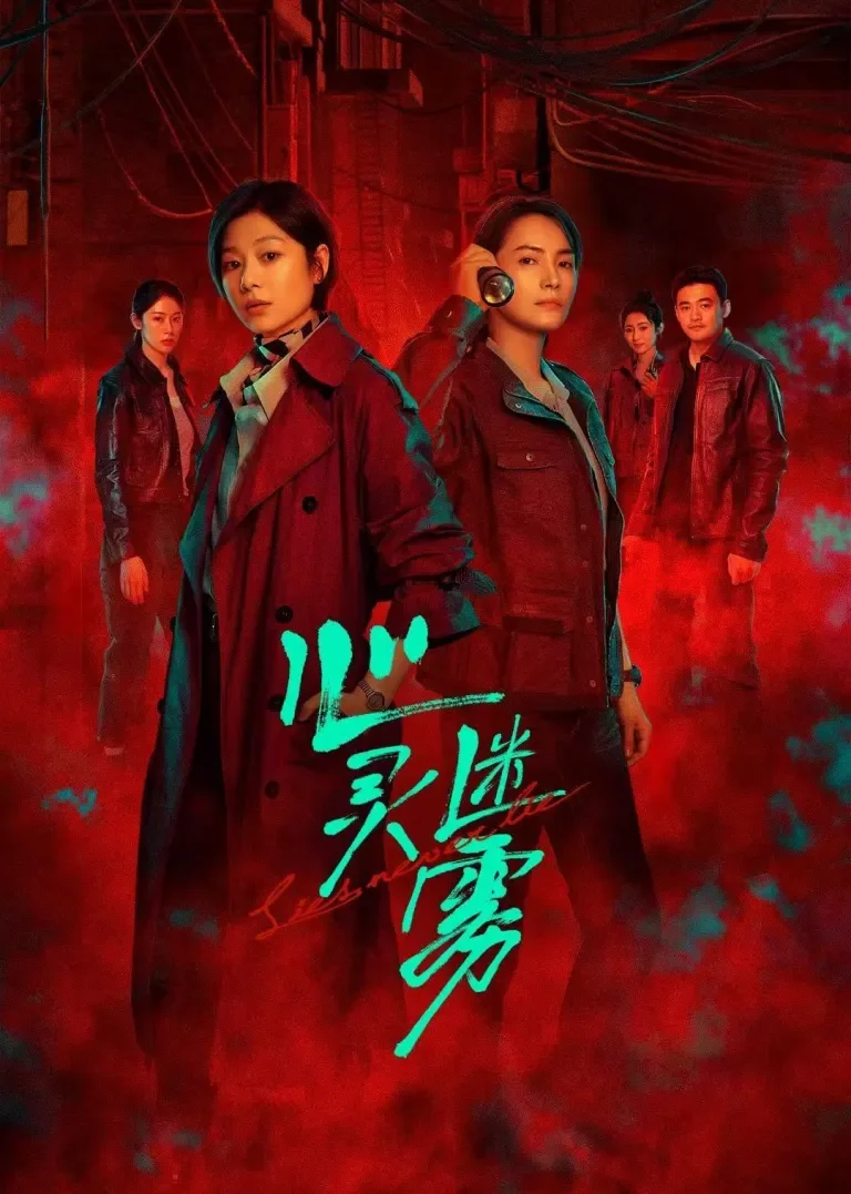 心灵迷雾电视剧海报