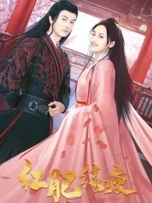 红肥绿瘦电视剧海报