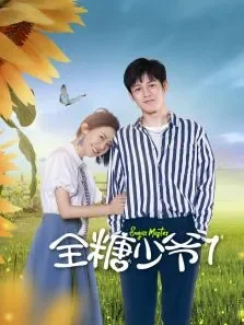 全糖少爷电视剧海报