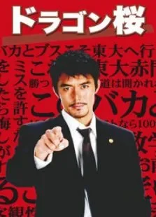 龙樱电视剧海报