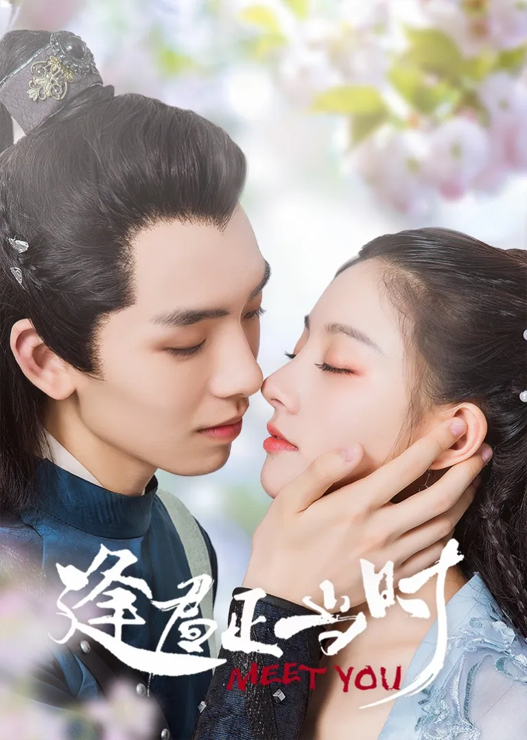 逢君正当时电视剧海报