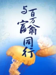 与百万富翁同行电视剧海报