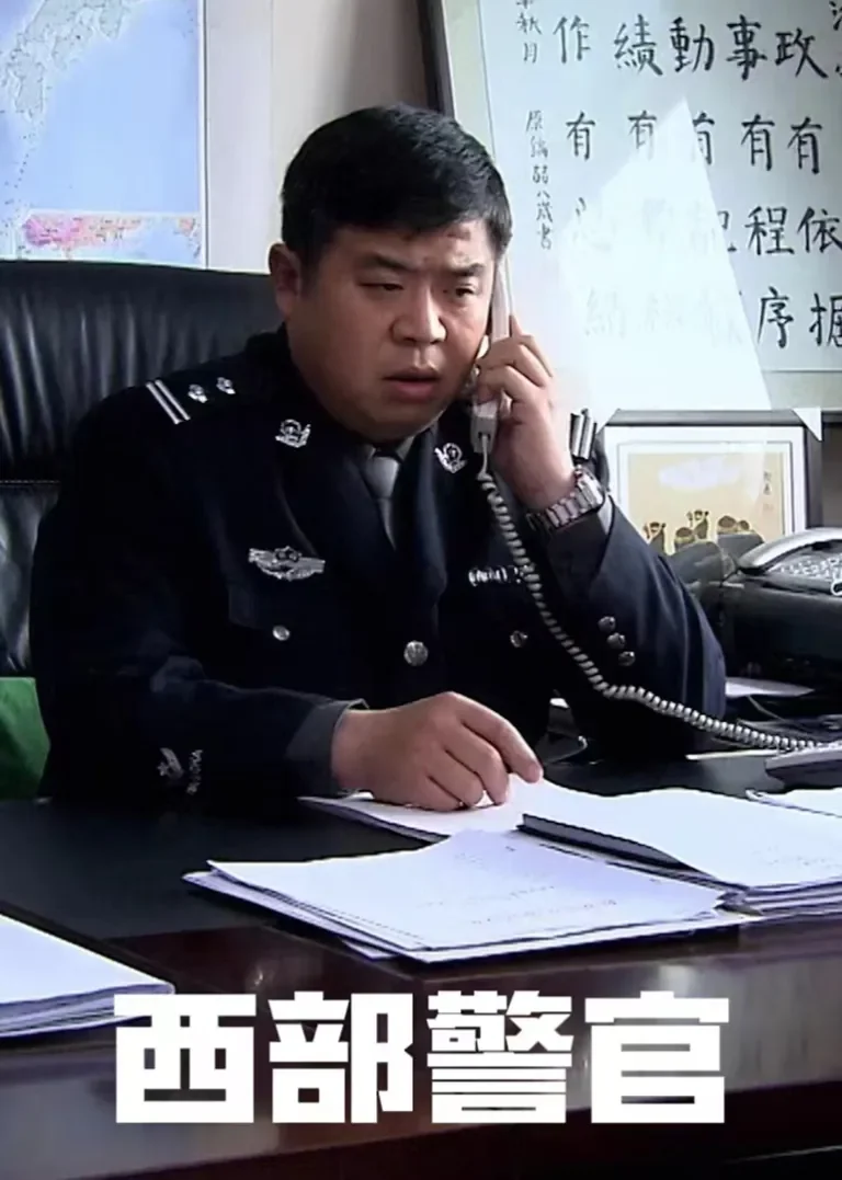 西部警官电视剧海报
