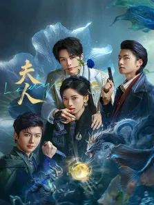 夫人电视剧海报