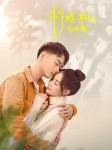 柠檬树上你和我电视剧海报