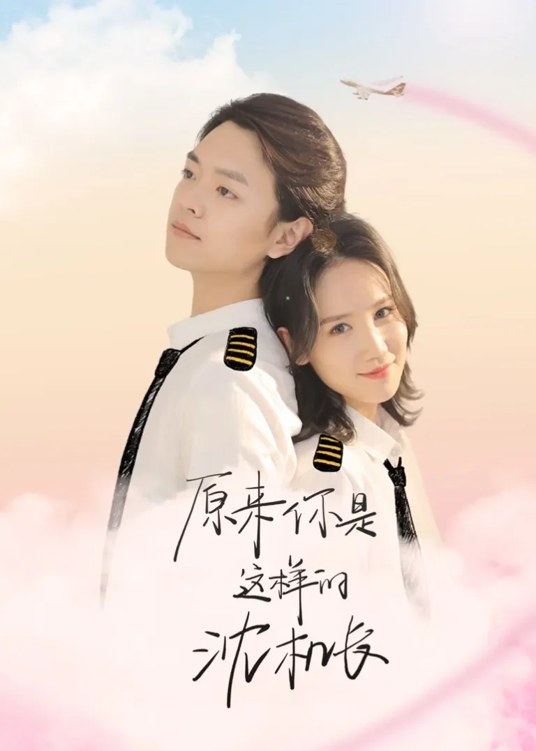 原来你是这样的沈机长电视剧海报
