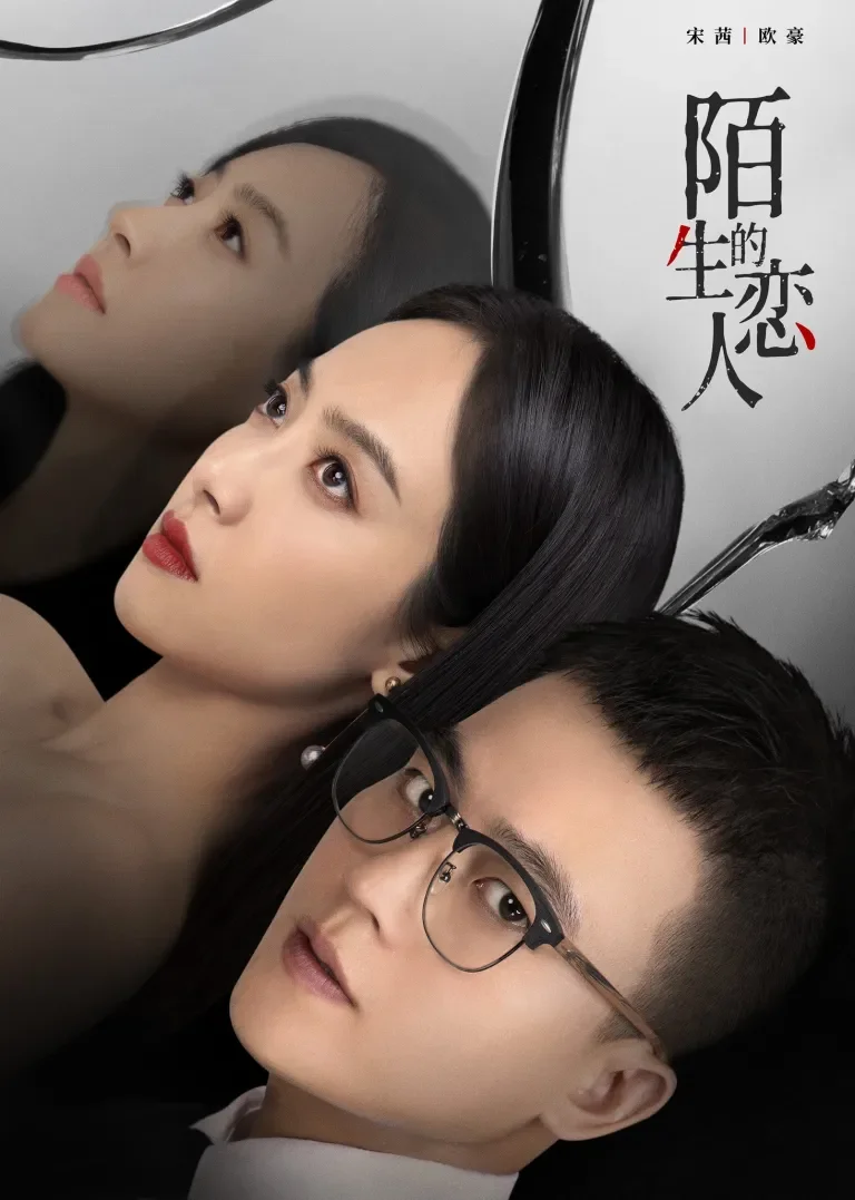 陌生的恋人电视剧海报