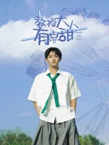 教授大人有点甜电视剧海报