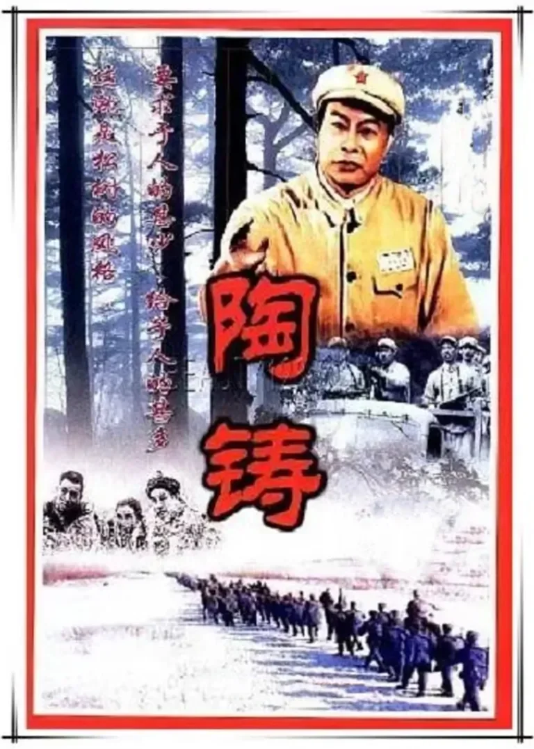 陶铸电视剧海报