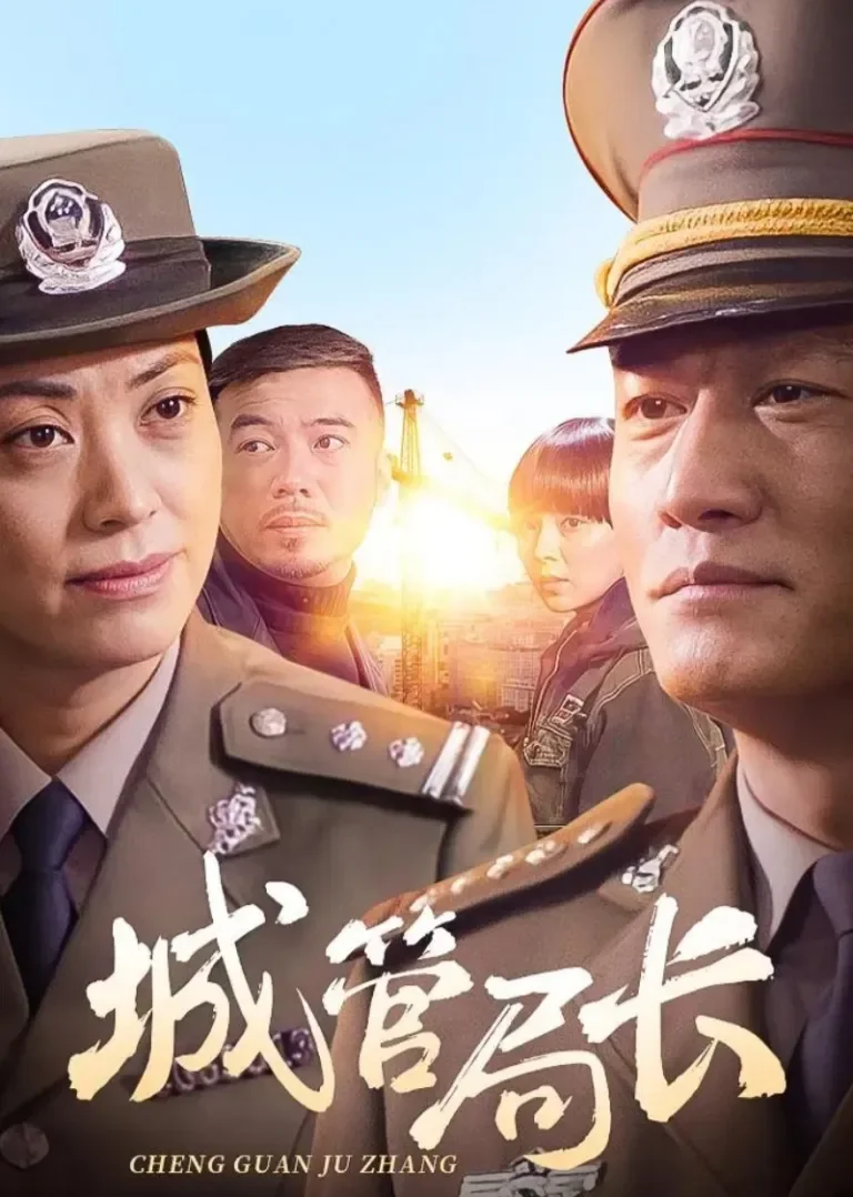 城管局长电视剧海报