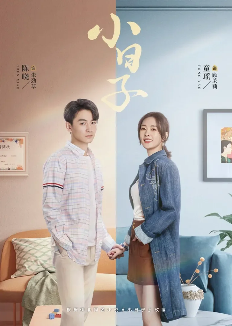 小日子电视剧海报